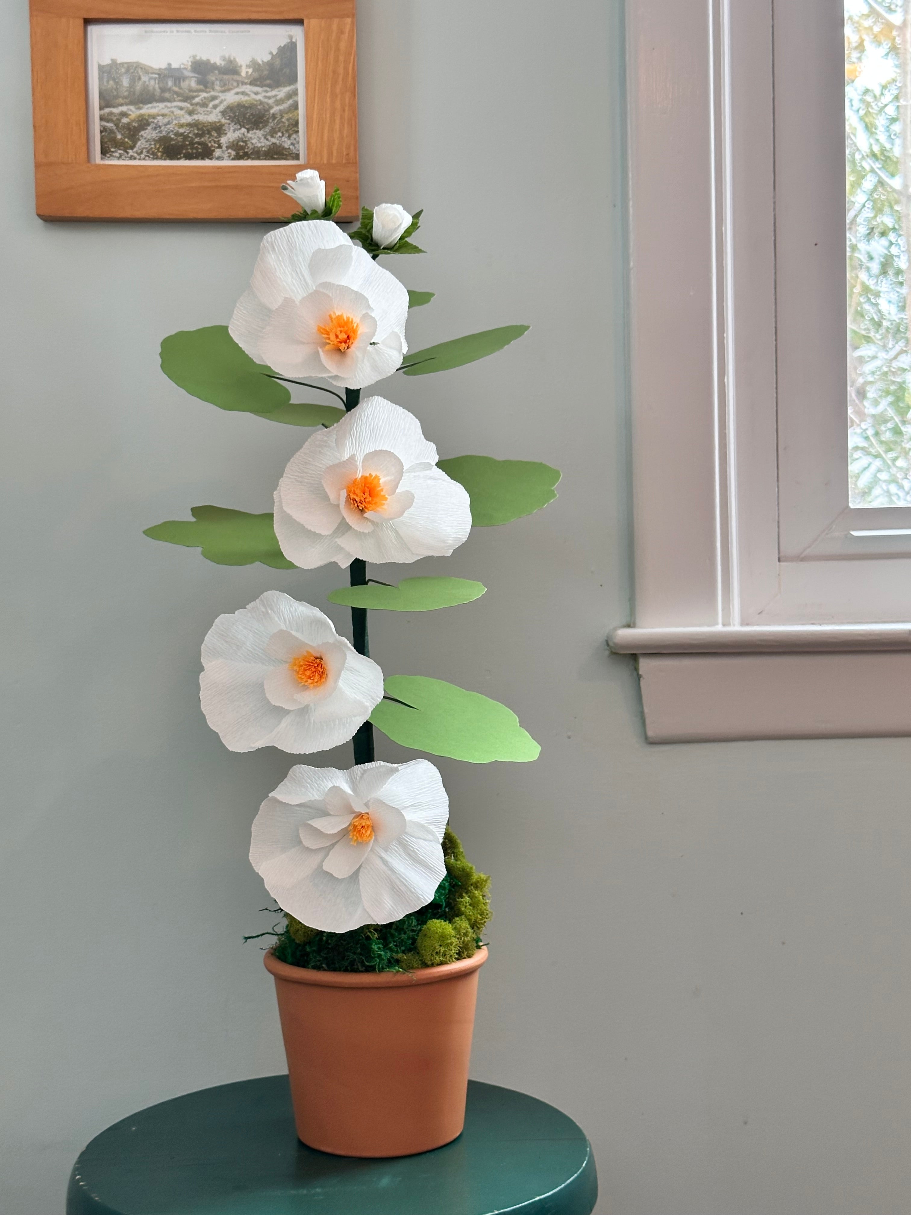 White Paper Hollyhock plant
This plant was traced from a hollyhock grown in the summer garden, then assembled with Italian crepe paper, and cardstock. 
22 inch height. 4 inch terracotta pot
Best kept out of direct sunlight so as not to cause fading in color. 